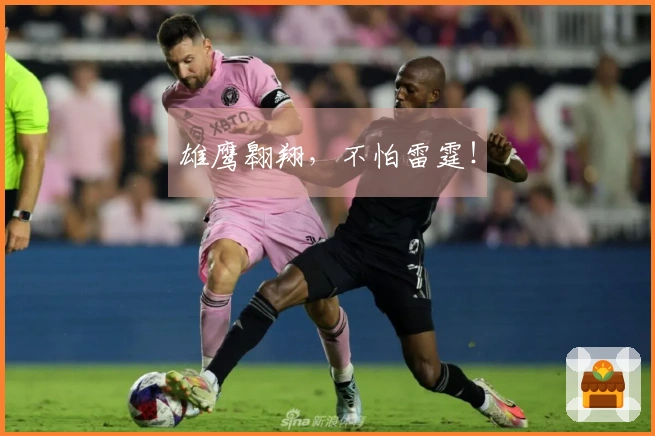 雄鹰翱翔，不怕雷霆！